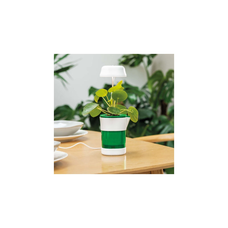 Vaso Inteligente com Luz LED e Irrigação Automática