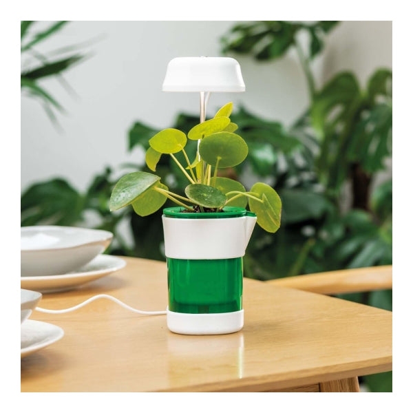 Vaso Inteligente com Luz LED e Irrigação Automática