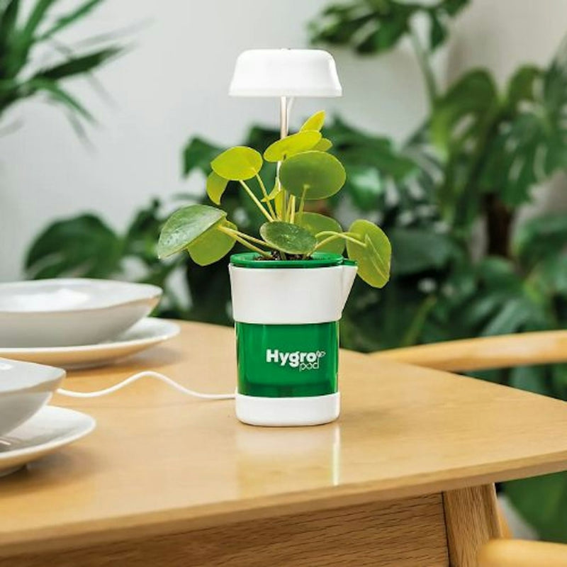Vaso Inteligente com Luz LED e Irrigação Automática